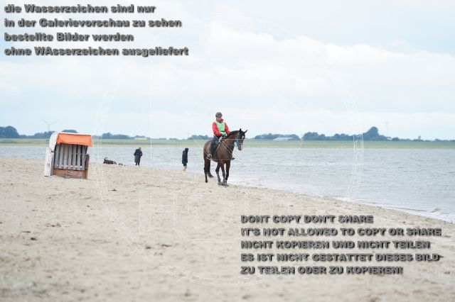 s_K3F04956.JPG